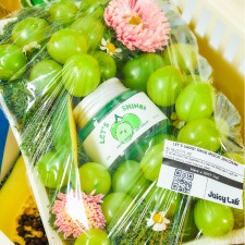 JUICY LAB - Shine Muscat Jam Cream Melembapkan Mencerahkan Kulit Wajah Dalam 10 Detik 80ml